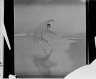 Arnold Genthe / Scarf dance (Margaret Severn) / between 1923 and 1942; from a negative taken in 1923