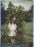 Arnold Genthe / Nina Skidmore standing in front of a large sunflower plant / 1913