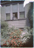 Arnold Genthe / Arnold Genthe dressed in a kimono reading by the window of his house in San Francisco / between 1906 and 1911