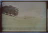 Arnold Genthe / California landscape of grass-covered hills and a large tree / between 1906 and 1911