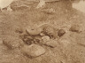 Edward S. Curtis / Beginning of the Altar, Cheyenne / 1911