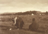 Edward S. Curtis / Wood Gatherers, Cheyenne / 1910