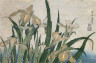 Katsushika Hokusai / Iris Flowers and Grasshopper / about 1830