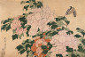 Katsushika Hokusai / Tree Peonies and Butterfly / about 1830