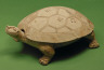 Artist unknown / Ink Tablet in the form of a Turtle / 2nd century