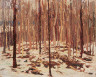 Tom Thomson / In the Woods / unknown