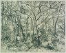 Camille Pissarro / Wooded Landscape at the Hermitage (Pontoise) / 1879-1880 ?