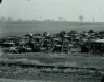 Walker Evans / Joe's Auto Graveyard, Pennsylvania / November 1935, printed later