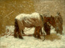 Alexander Harold / Haymarket, Montreal, in Winter / 1905