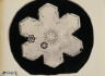 Wilson A. Bentley / Snow Crystal No. 3837 / 17 December 1922