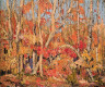 Tom Thomson / Autumn Tapestry: Tangled Trees / c. 1914