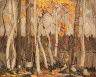 Tom Thomson / Autumn Birches and Poplars, Canoe Lake / c. 1914-1915