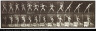 Eadweard Muybridge / Animal Locomotion (plate 319) (Man Throwing a Ball) / 1887