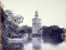 Samuel Bourne / Lahore Babateel Golden Temple. Flying Foxes in Trees. / 1864-1872, printed 1870s