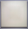 Robert Irwin / Untitled / 1963-1965