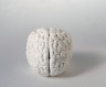 Katharina Fritsch / Gehirn (Brain) / 1987/1989