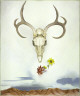 Georgia O'Keeffe / Summer Days / 1936