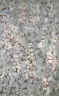 Mark Tobey / New Life (Resurrection) / 1957