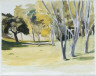 Hopper, Edward / (Landscape with Trees) / (1938)