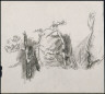 Edward Hopper / (Foliage Studies) / No Date Available