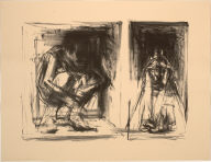 Images from a Locked Ward