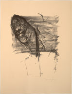 Images from a Locked Ward