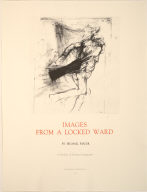 Images from a Locked Ward