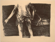 Images from a Locked Ward