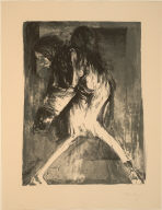 Images from a Locked Ward
