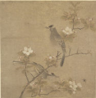 Flowers and Birds