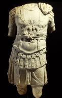 Loricate Torso