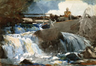 Casting in the Falls