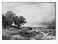 Landscape with Sheep