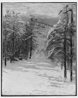 Winter Scene