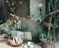 A Makeshift Kitchen in an Alley, Shanghai, from the portfolio Map of the East