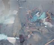 Garbage in the Chao Phaya River, Bangkok, from the portfolio Map of the East