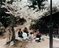 A Cherry Blossom Picnic in a Woods, Miyajima, Japan, from the portfolio Map of the East