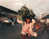 A Laborer, Wonosobo, Central Java, from the portfolio Map of the East