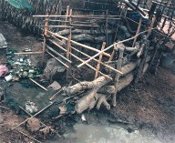 A Pig Pen, Site 8 Refugee Camp, near Aranyaprathet, Thailand, from the portfolio Map of the East