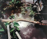 A Backwater Among the Stilt Houses, Kualakapuas, from the portfolio Map of the East