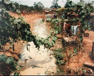 A Ditch and Vines, Site 2, from the portfolio Map of the East