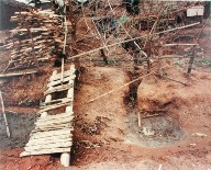 A Handmade Bridge, Site 8, from the portfolio Map of the East