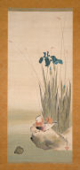 Iris and Mandarin Ducks
