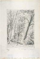 Chaville, L'Arbre Penche