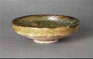 Dish