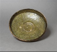 Dish
