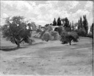 Hillside in Summer