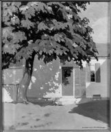 Aunt Polly's Back Door