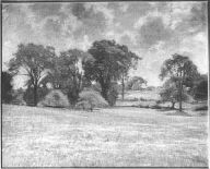 Early Summer