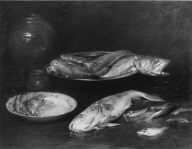 Still Life - Fish